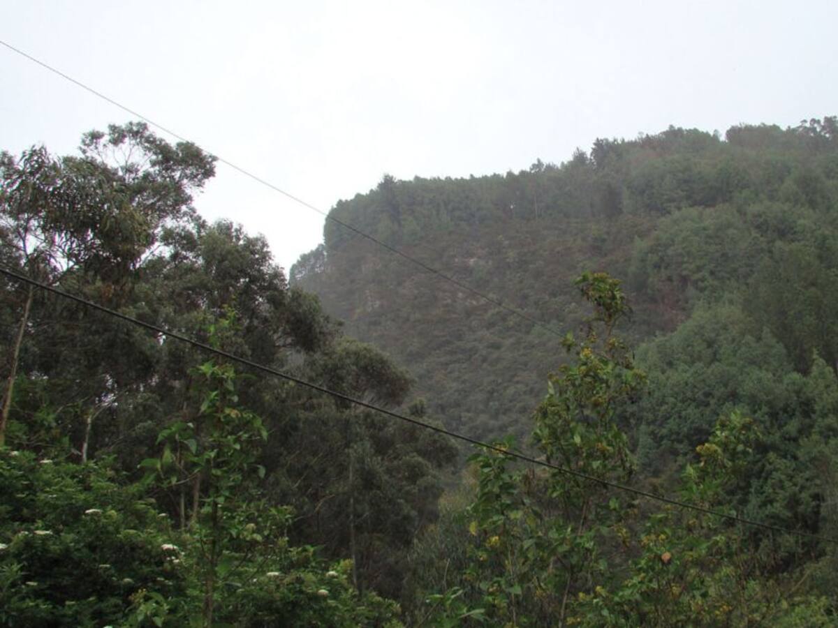 Cierran sendero ecológico de la quebrada La Vieja