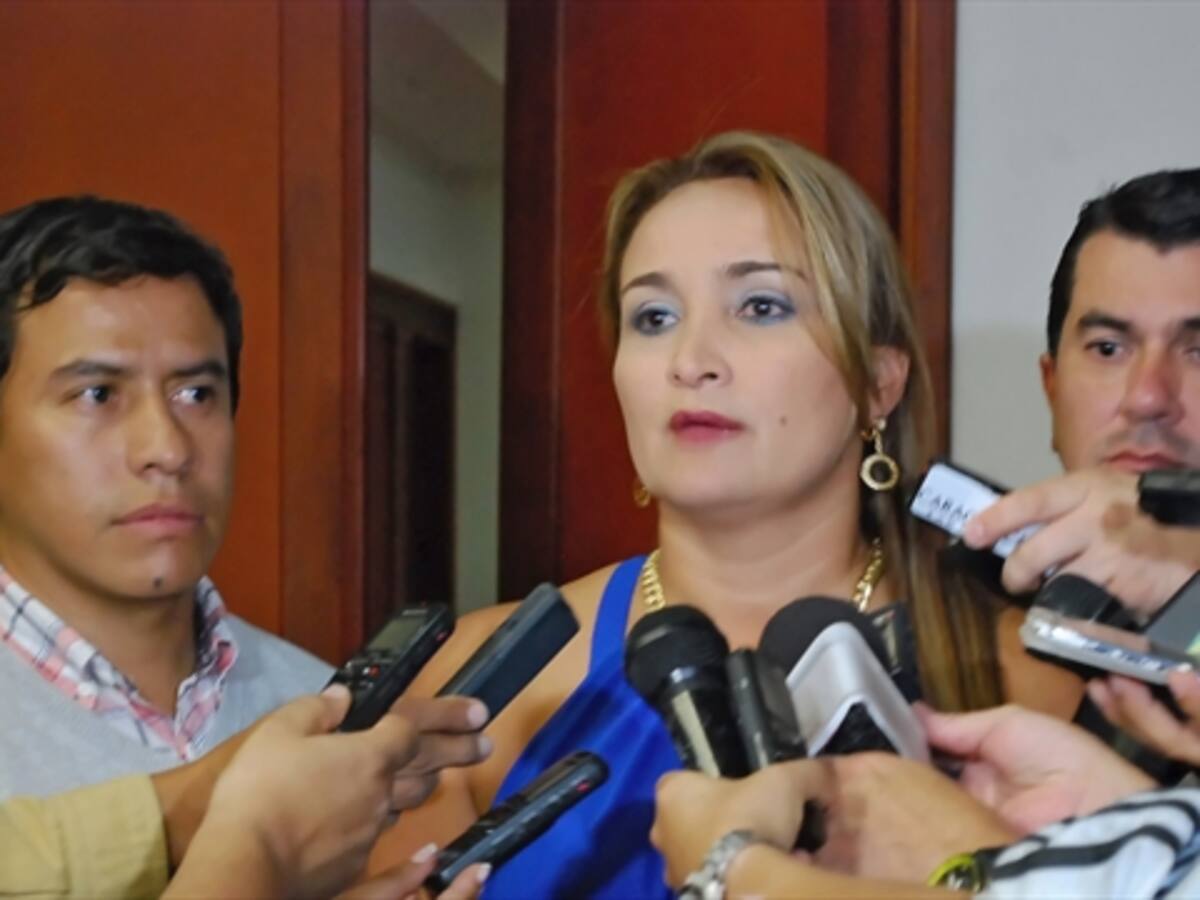 Pedimos revocar licencia ambiental de proyecto energético: Gobernación