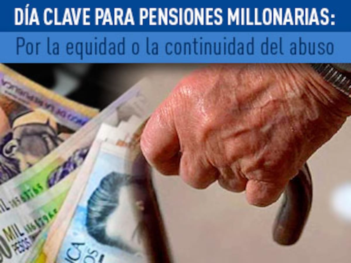 La demanda en la Corte Constitucional