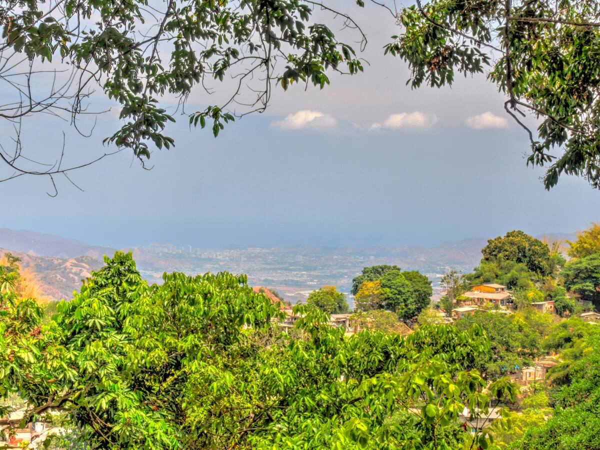 Unión Europea invierte en programa para un café orgánico e inclusivo en Magdalena