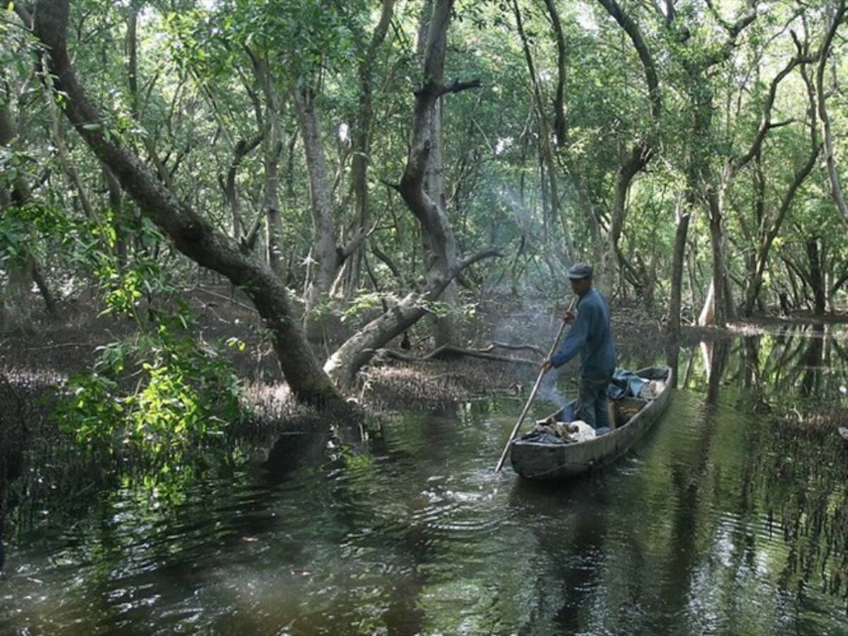 Alcaldes, indígenas y pescadores quieren soluciones concretas para la Ciénaga Grande