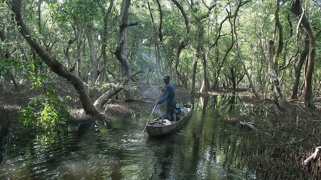 Ciénaga Grande de Santa Marta. Foto: Colprensa