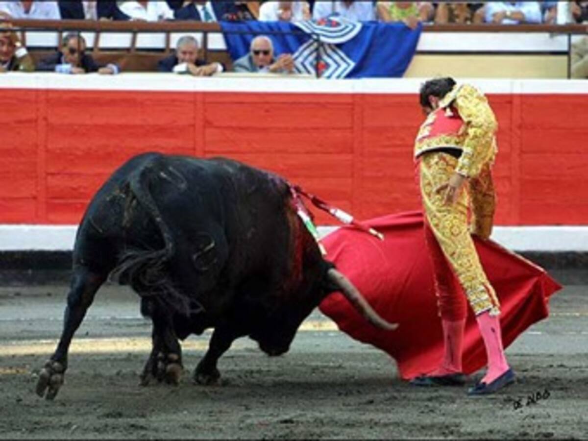 El gobernador de Antioquia es antitaurino, y su esposa es taurófila