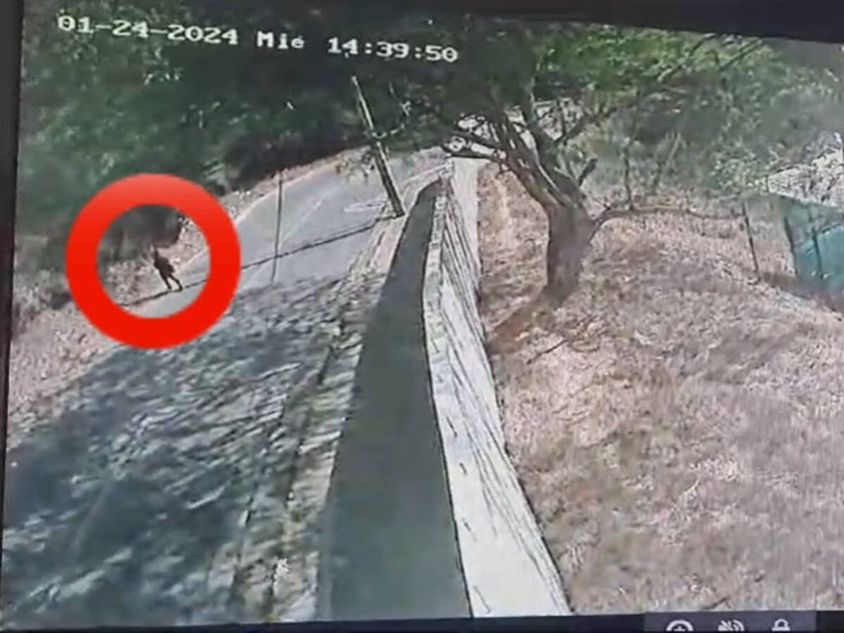 VIDEO: Capturan a pirómano que provocó incendio en Bucaramanga