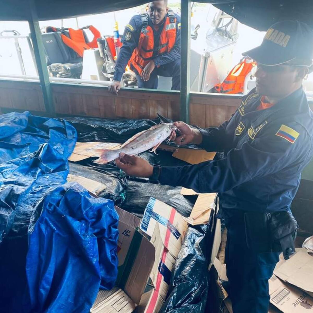 Incautan dos toneladas de pescado en la Amazonia
