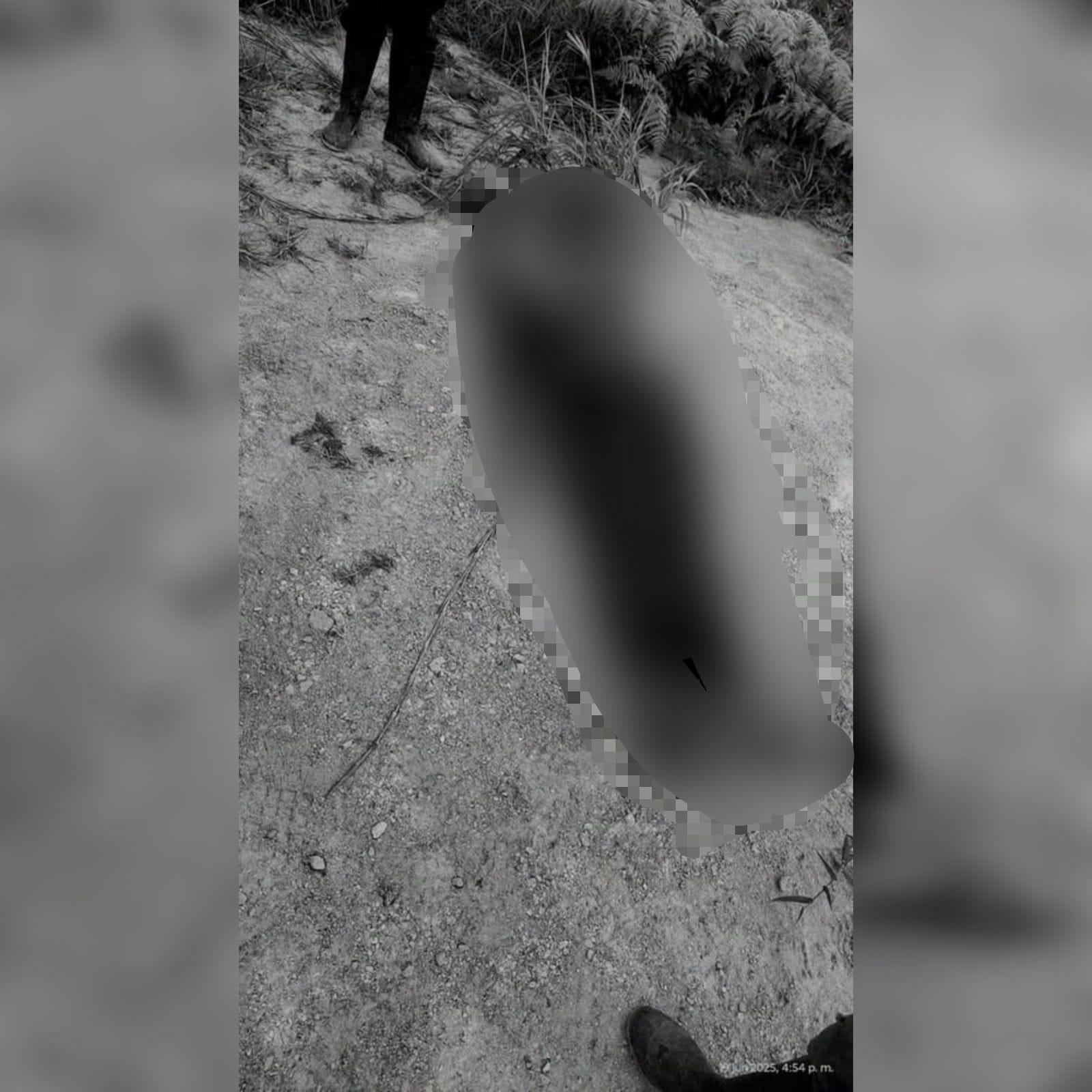 Campesinos de Bucarasica reportaron el hallazgo del cuerpo de un hombre. / Foto: Cortesía.