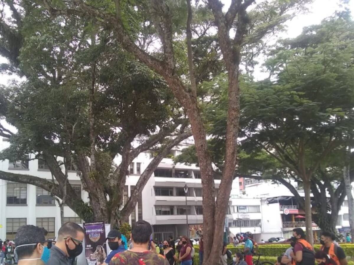 Situación de la pobreza se elevó durante el último año en Ibagué