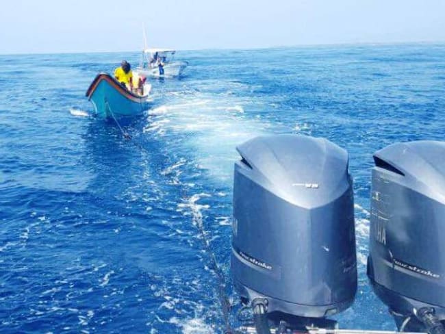 Armada Nacional incauta especies protegidas en Cartagena