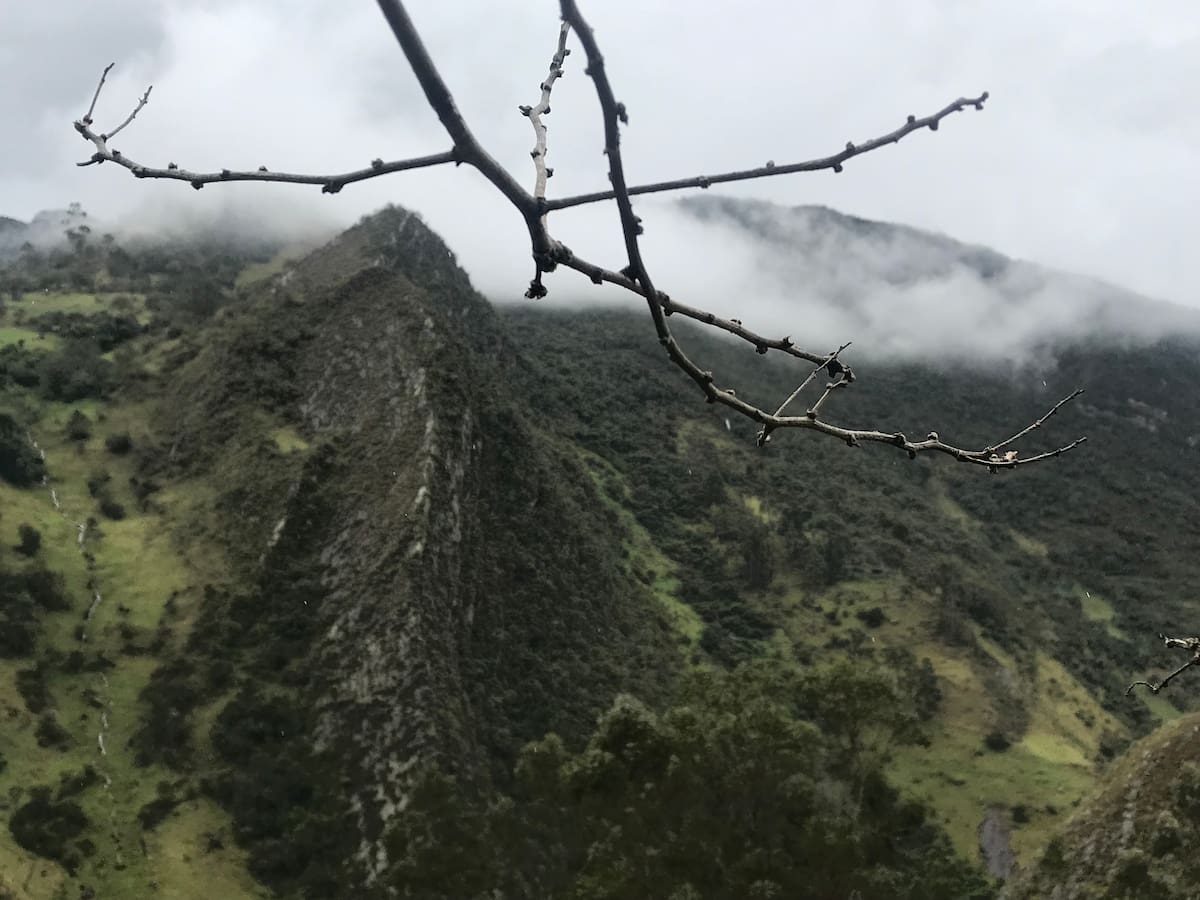 Productores agropecuarios podrán acceder a subsidios por intensas heladas en Boyacá