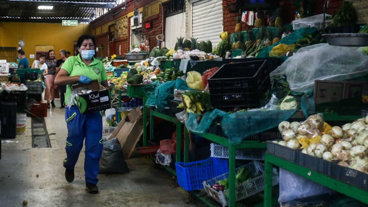 Procuraduría pide el buen funcionamiento de las plazas de mercado