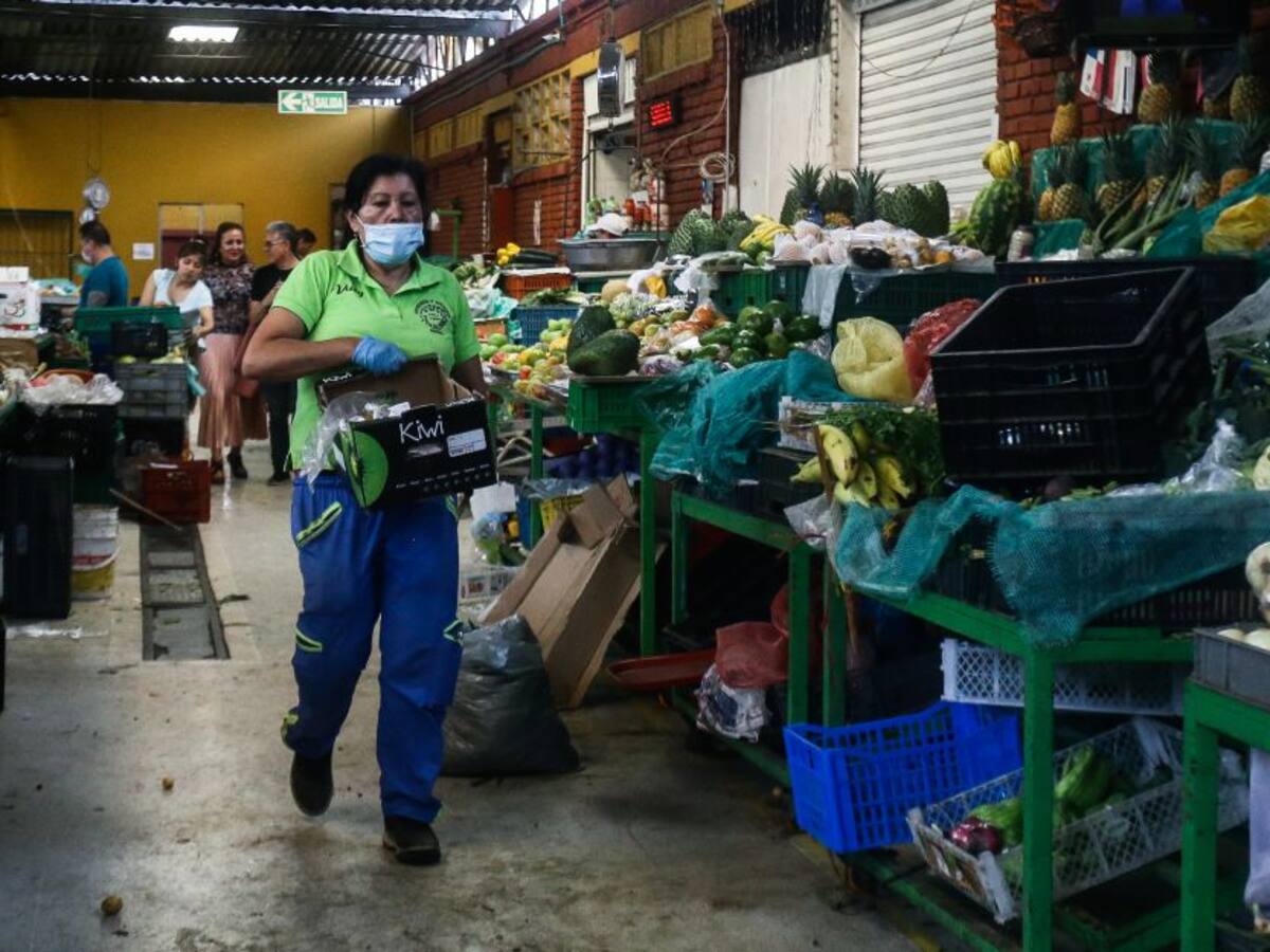 Procuraduría pide el buen funcionamiento de las plazas de mercado