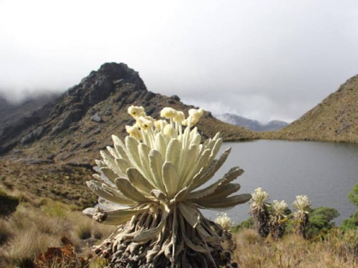 Alianza Biocuenca se fortalece, para conectar personas, territorio y agua