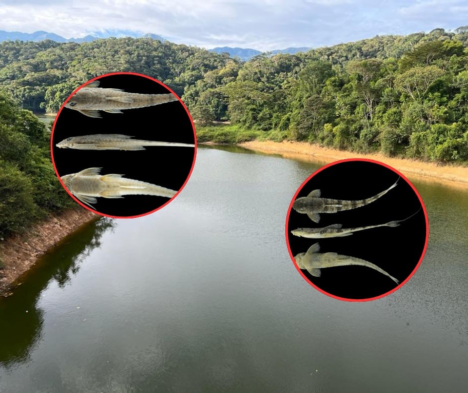 Foto: cortesía EPM.