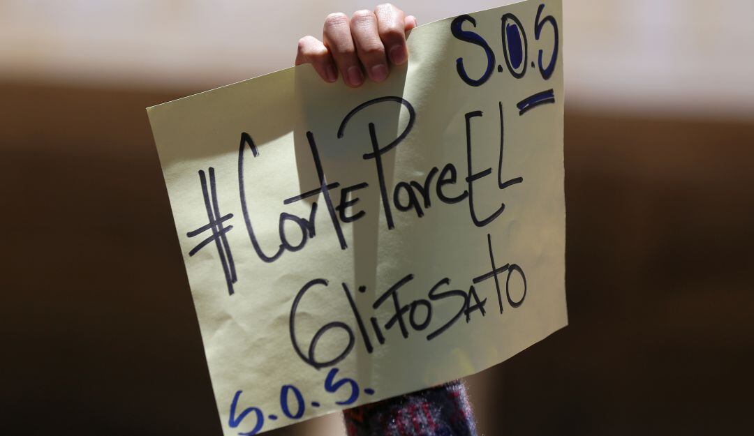 ¿Qué dicen en el Congreso a la Corte por tumbar la aspersión con glifosato?