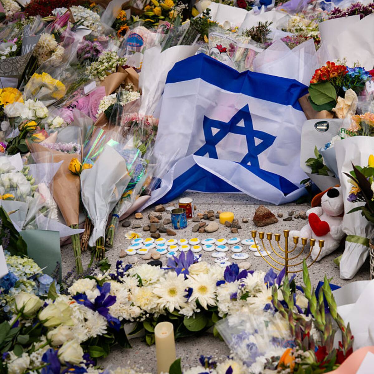 “El terrorismo debe salir de Australia, no los judíos”: emisaria de Israel para Fondo Nacional judío