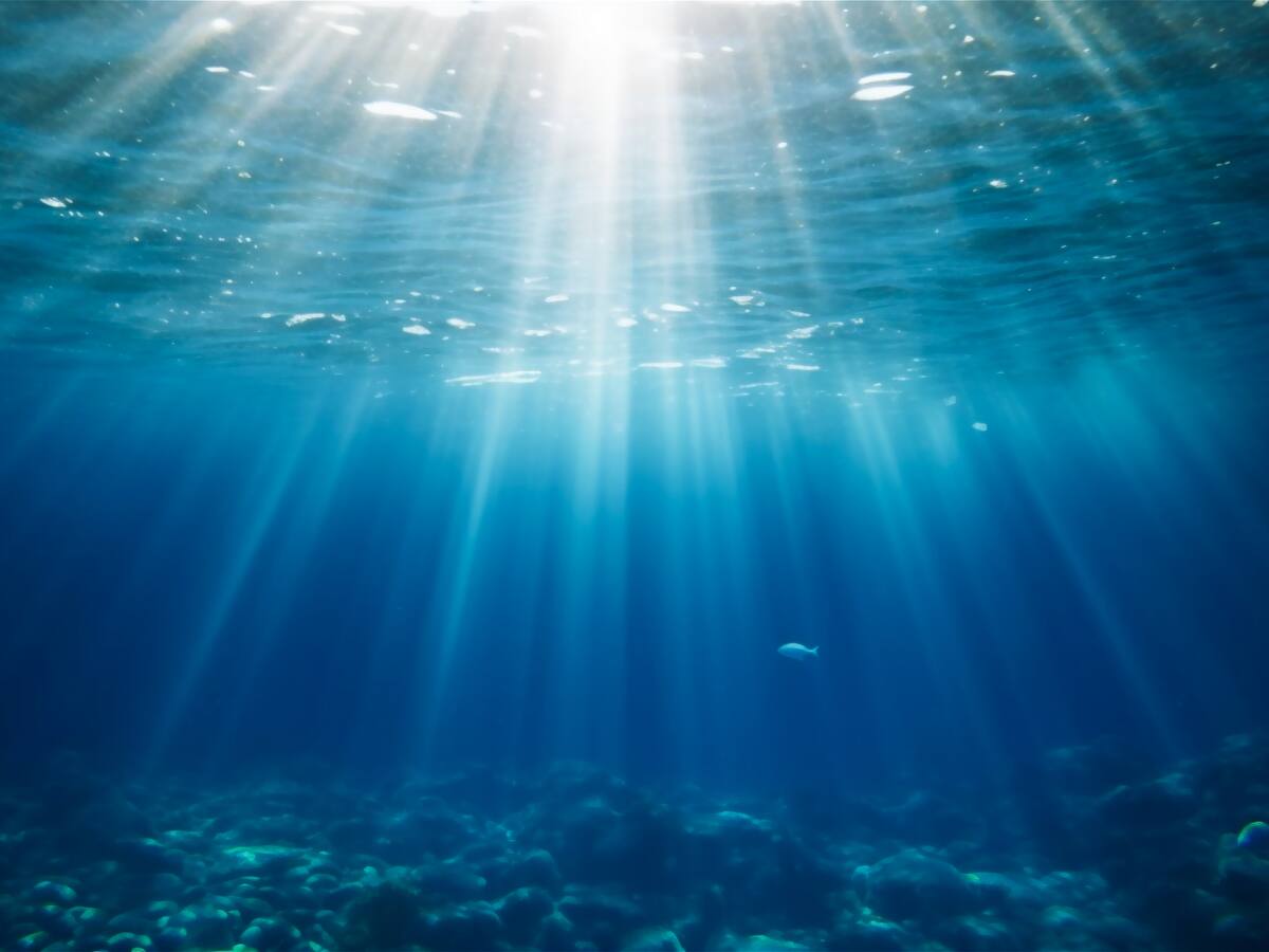 Hallazgo sobre la organización molecular del agua contradice modelos conocidos