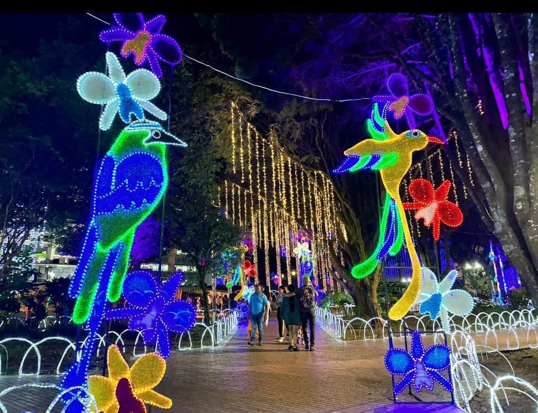 Alumbrado navideño en la plazoleta del CAM en Armenia. Foto Alcaldía de Armenia