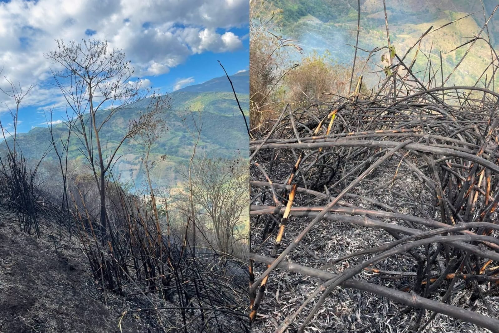 Afectaciones del incendio forestal en la vereda La Flora en Salamina, Caldas. Foto: Facebook Alcaldía Municipal de Salamina.
