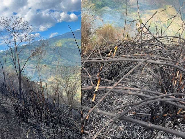 Afectaciones del incendio forestal en la vereda La Flora en Salamina, Caldas. Foto: Facebook Alcaldía Municipal de Salamina.