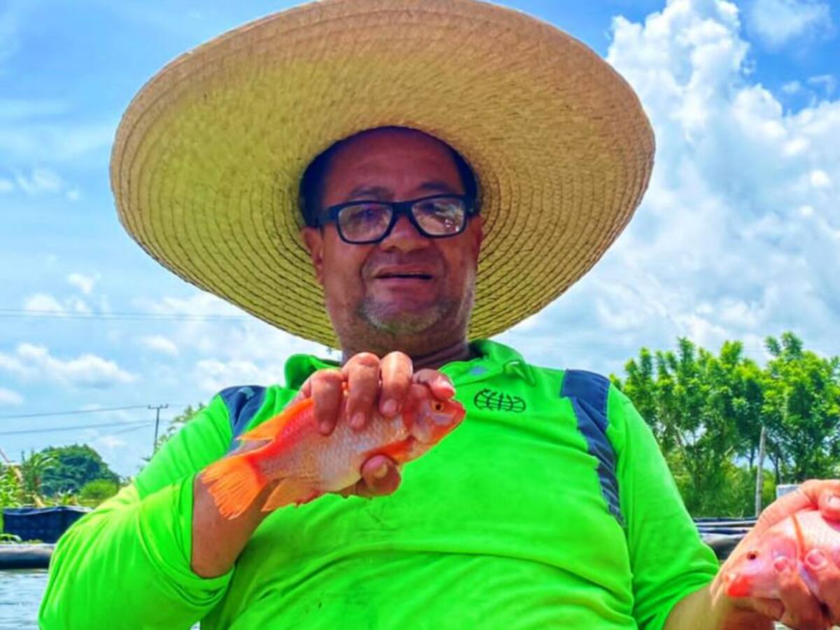 En Bolívar, colectivo en reincorporación apoya comercialización de tilapia