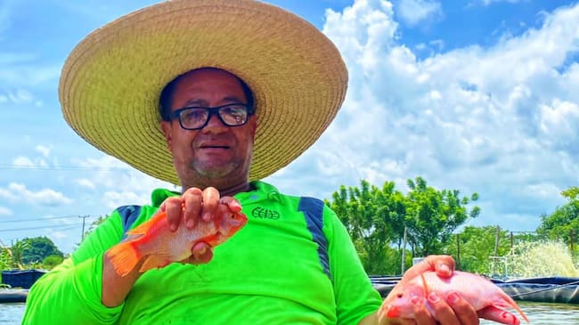 Los peces, tilapias rojas criadas en tanques de geomembrana, se encuentran listos para su comercialización