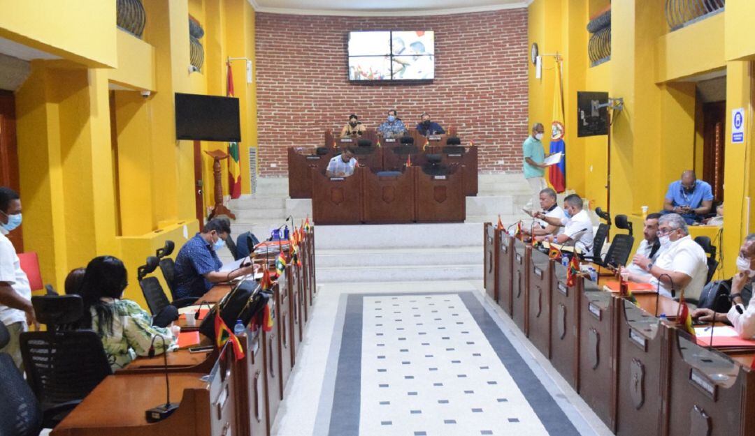 La presentación fue realizada ante la plenaria del Concejo Distrital