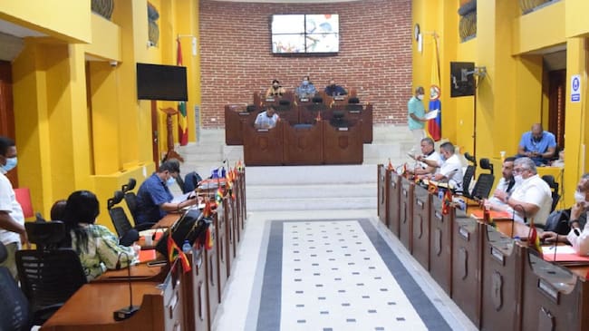 La presentación fue realizada ante la plenaria del Concejo Distrital