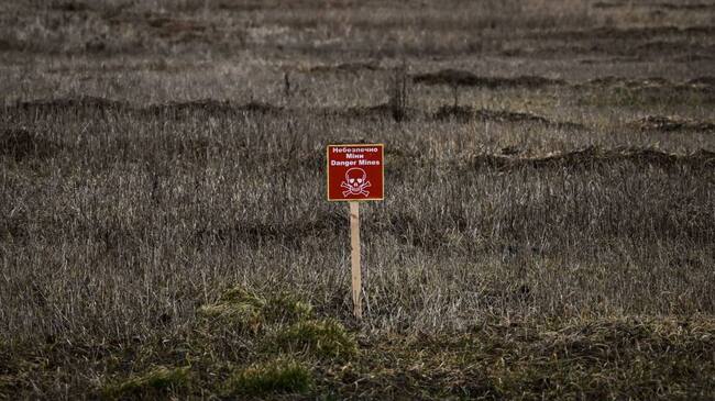 Campos minados al noreste de Kiev, capital de Ucrania. Foto: Getty