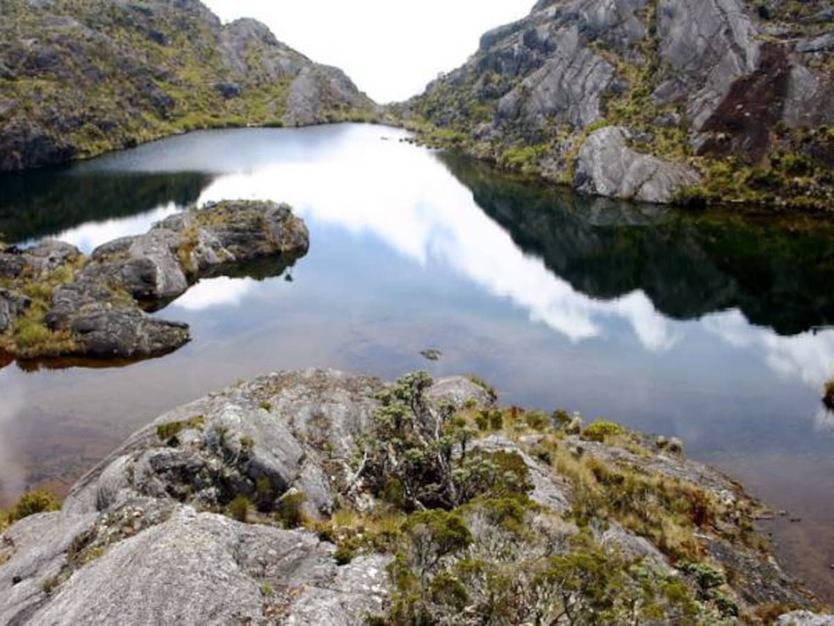 Implementaremos el fallo con todo el detalle posible: MinAmbiente sobre Saturbán