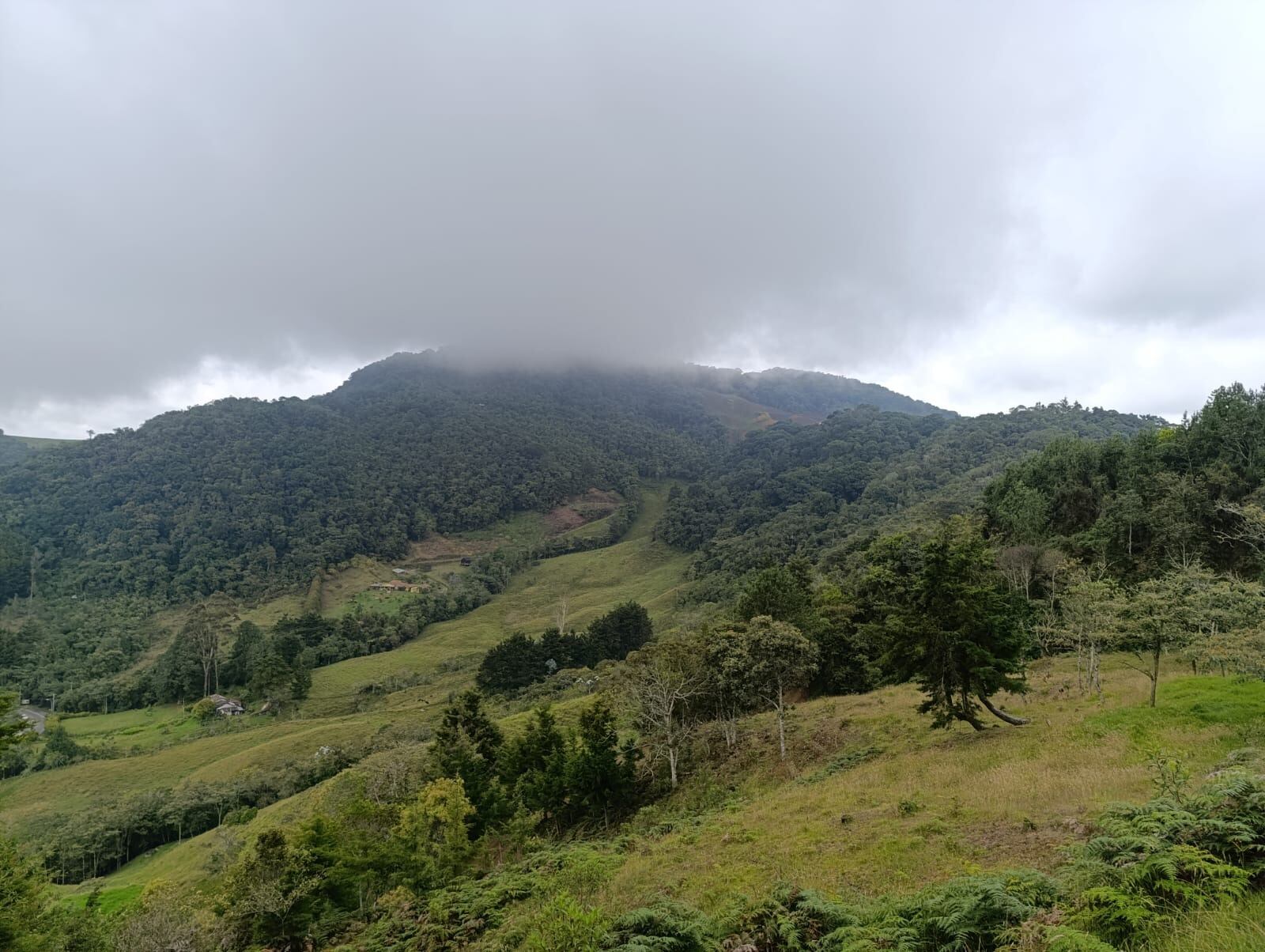 Lugar donde se pretendía realizar la extracción minera en La Ceja. Foto: Cortesía Cornare.
