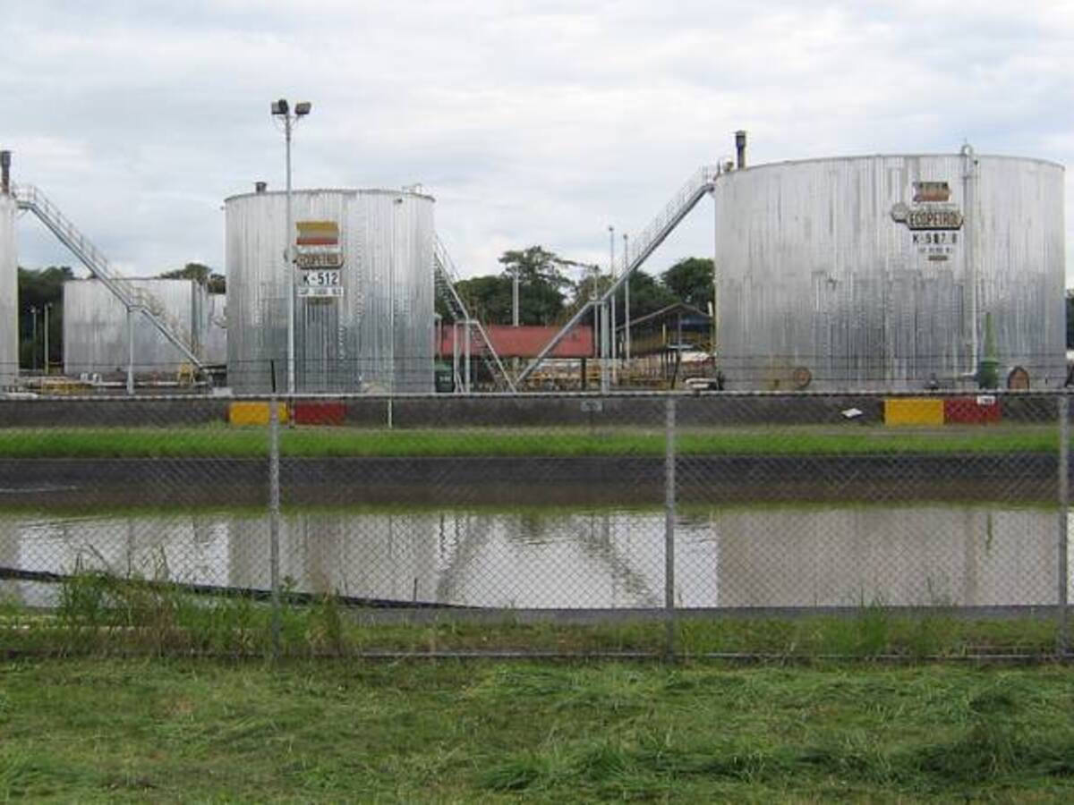 Reportan el hallazgo de petróleo Pozo Lorito-1 en el Meta