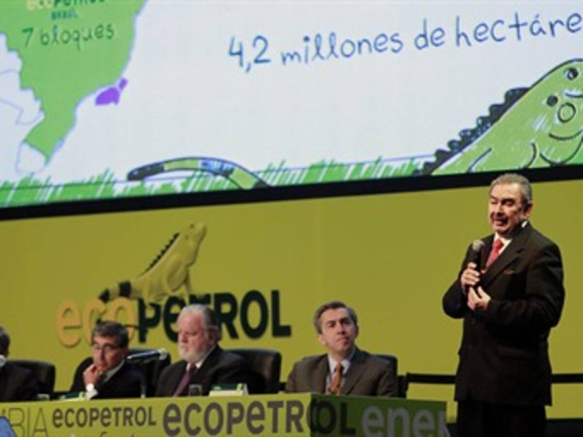 Ecopetrol confirma hallazgo de petróleo en el pozo Tibirita en Meta