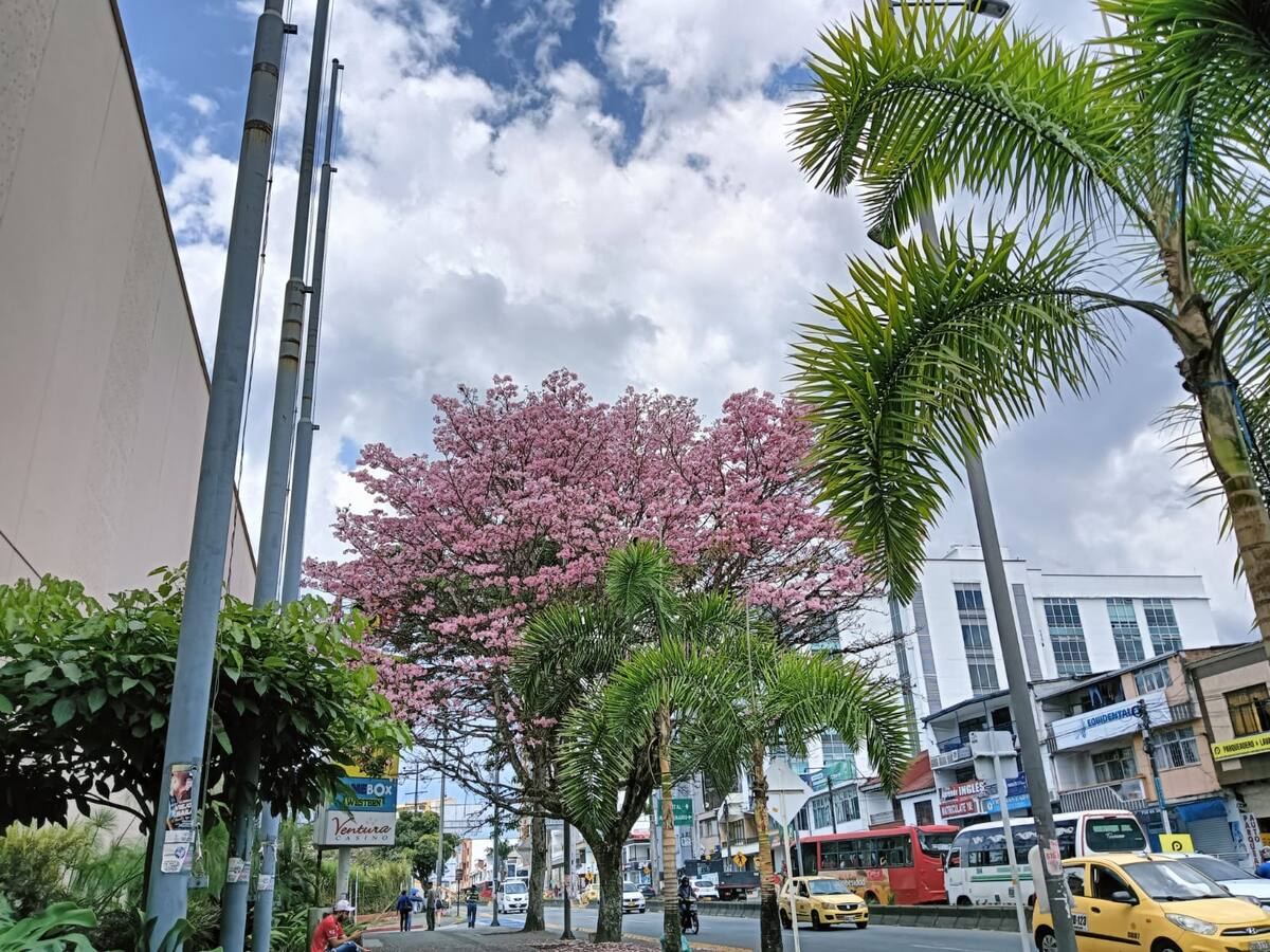 Jueves 12 de septiembre, las noticias más importantes de Armenia y Quindío