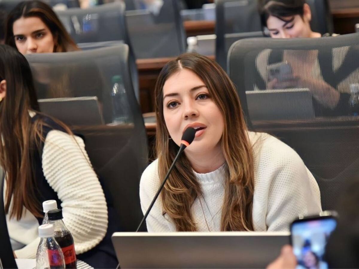 Aprobado en segundo debate proyecto de Ley Consultorios Psicológicos Comunitarios