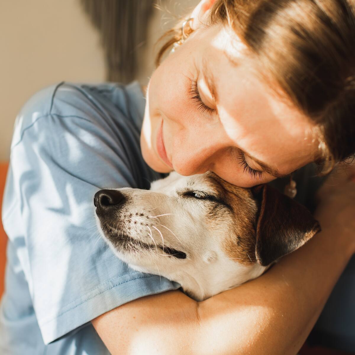 5 cuidados para ayudar a que un perro viva más