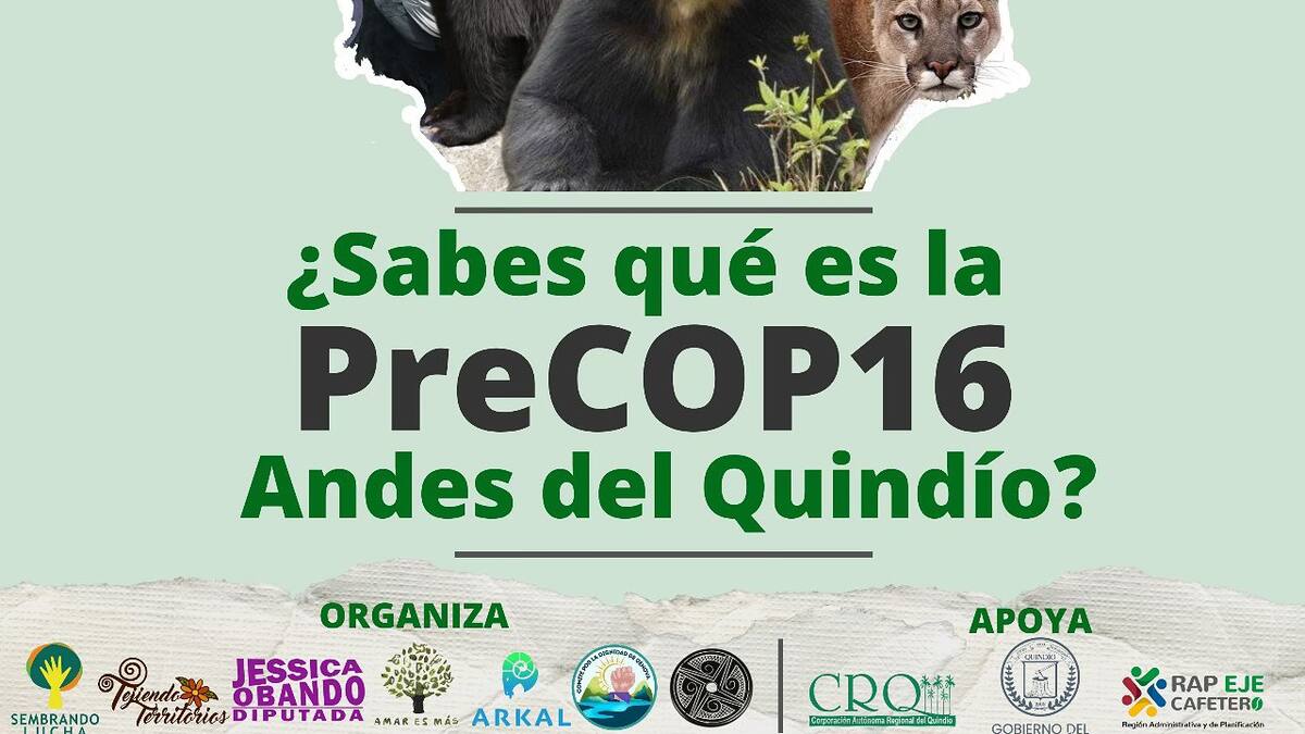 Jessica Obando diputado del Pacto Histórico del Quindío