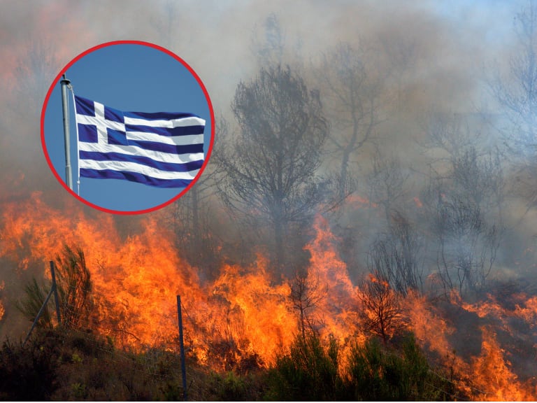 Incendios avanzan en Atenas: 12.000 hectáreas de bosques y tierras agrícolas han sido afectadas