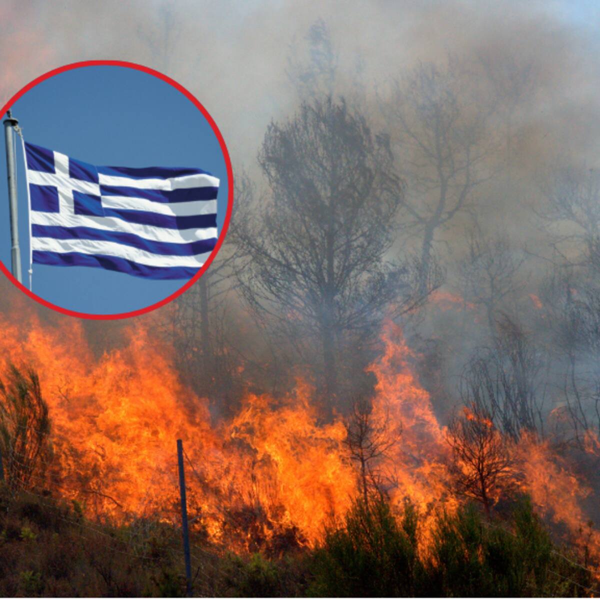 Incendios avanzan en Atenas: 12.000 hectáreas de bosques y tierras agrícolas han sido afectadas
