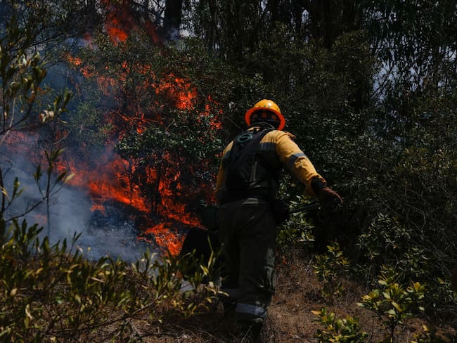 Incendió forestal en Sopó, Colombia / Getty Images