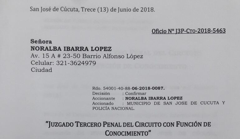 El gobierno local deberá realizar un estudio socio económico a todos los informales de la ciudad