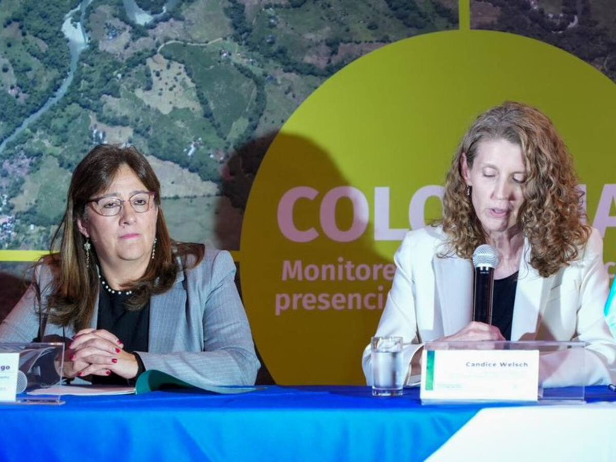 Gobierno anunció erradicación con fumigación terrestre, ante aumento de cultivos de Coca
