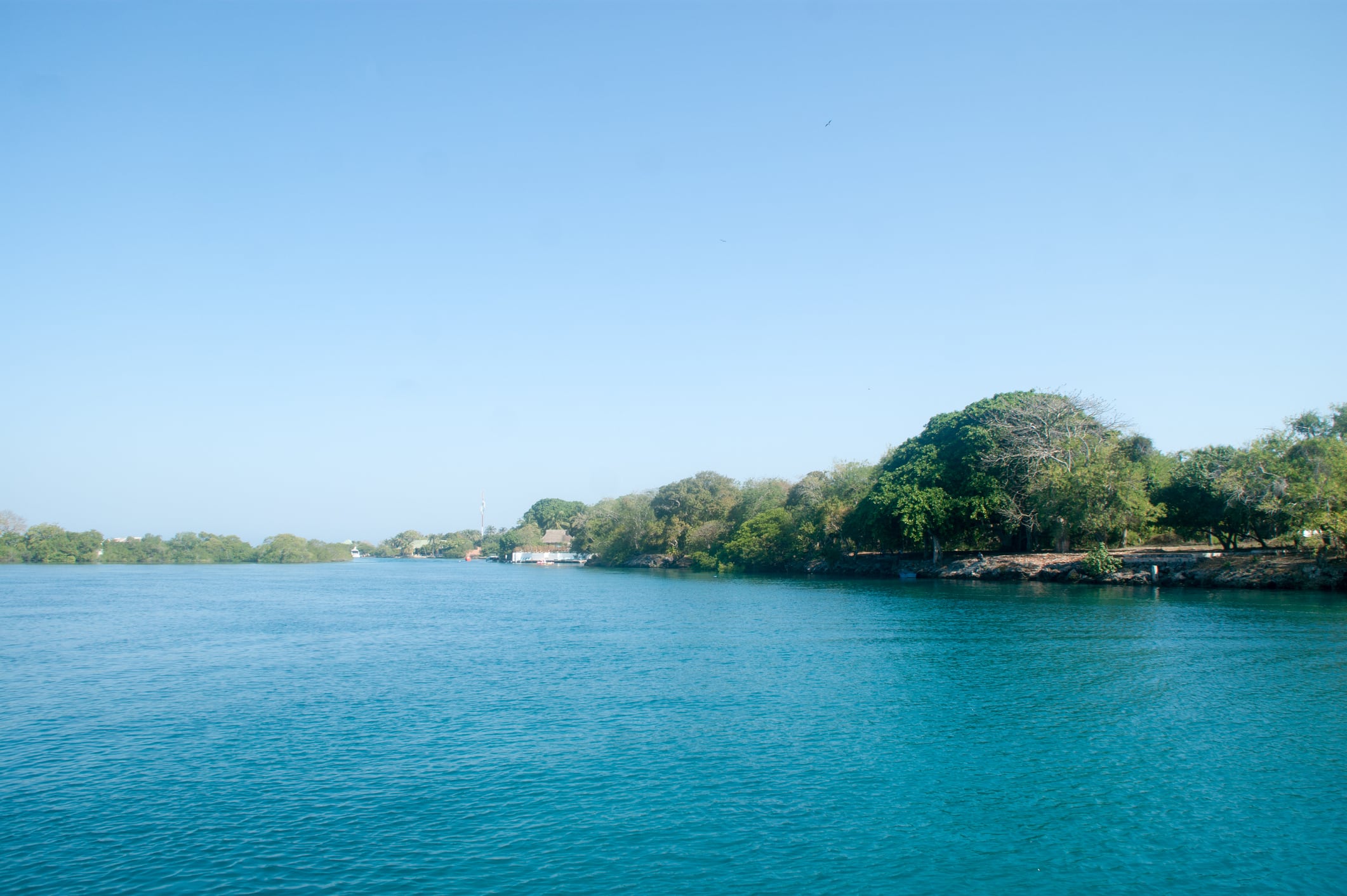 Blue sea and vegetation in the Rosario Islands, Colombia