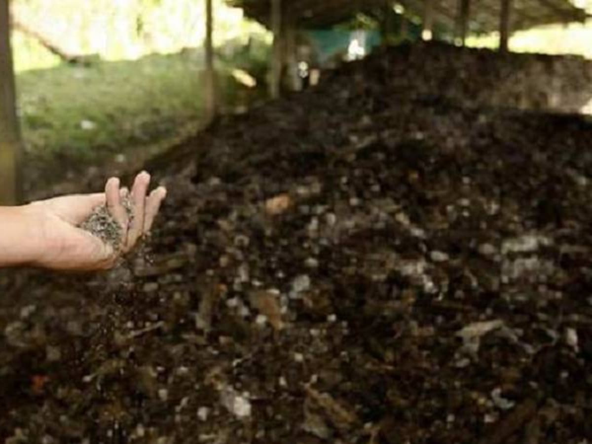 La hermana de Obama destaca los productos orgánicos colombianos