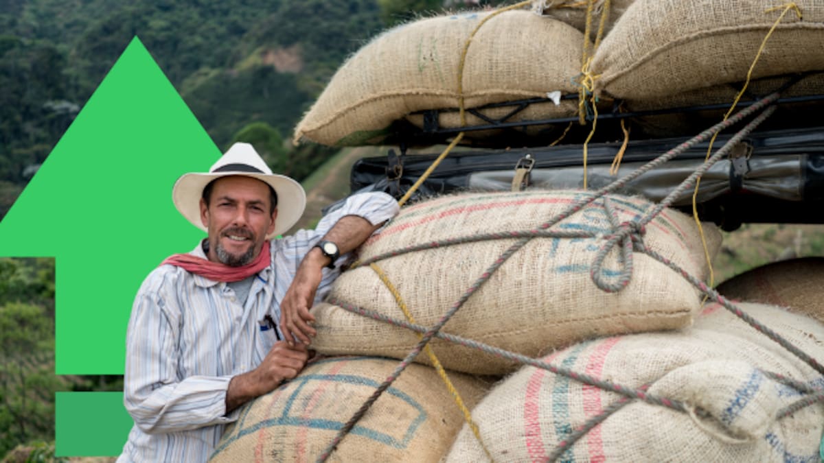 ANIF: Colombia alcanza una producción récord de café en 2024 con 14 millones de sacos