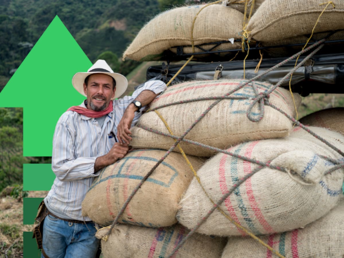 ¡Café continúa al alza! Precio de la carga de 125 kg HOY 24 de julio, según FNC