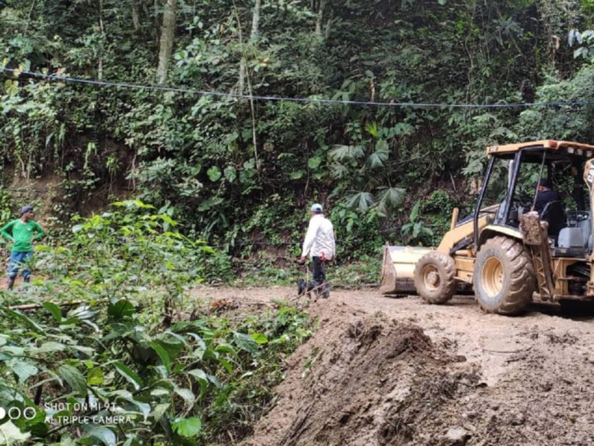Atienden emergencia vial originada por lluvias en Ibagué