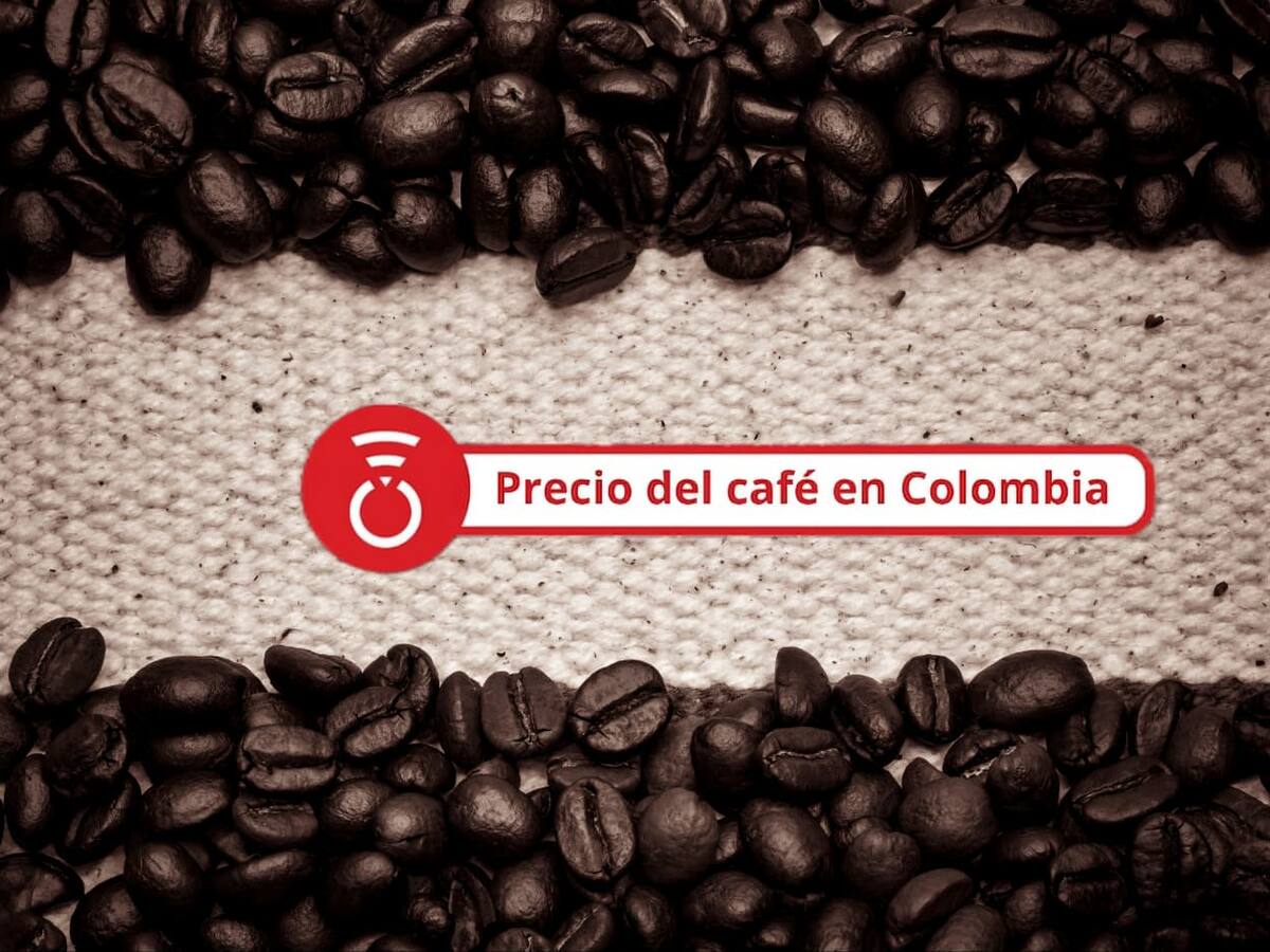 Precio del café HOY 29 de julio: El grano se desvalorizó en este último reporte