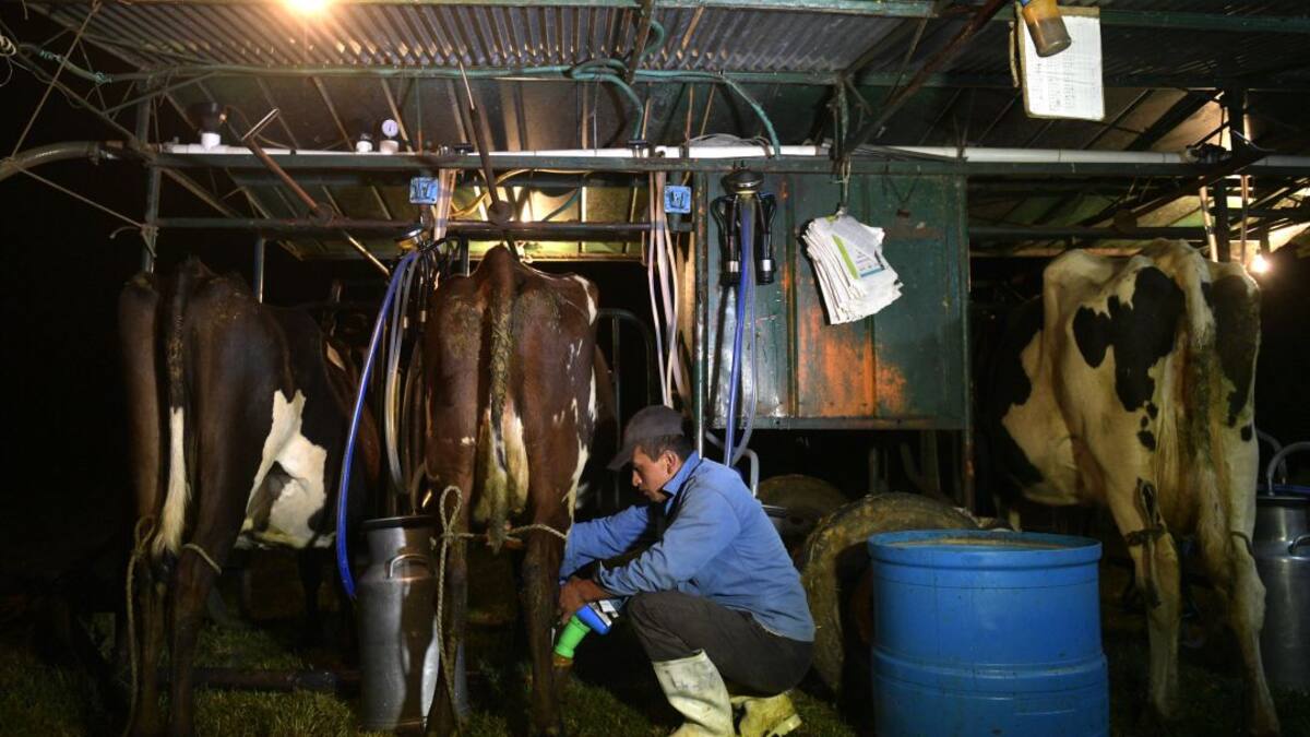 A tomar más leche invita Analac en sus 65 años