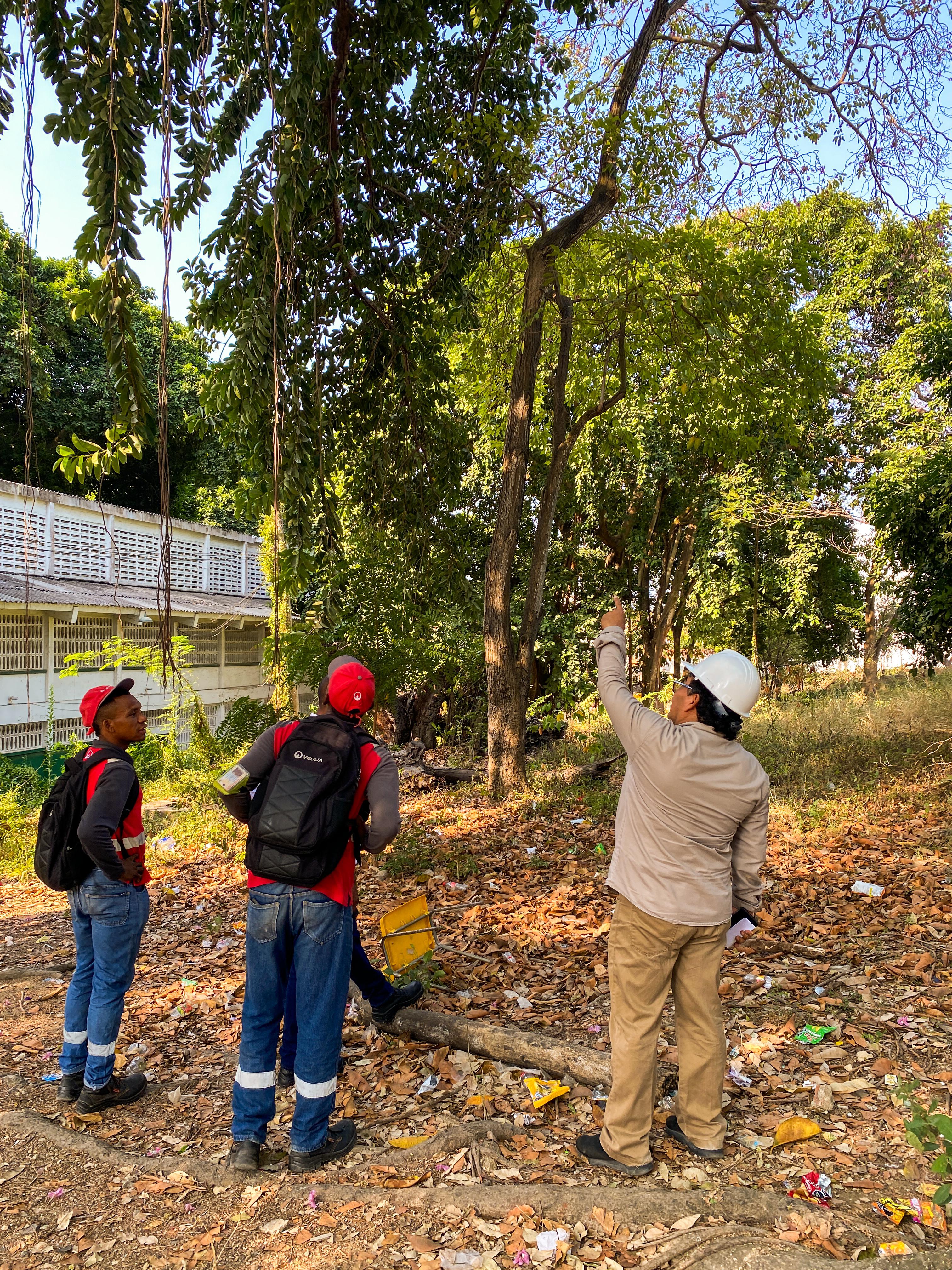 Alcaldía de Cartagena