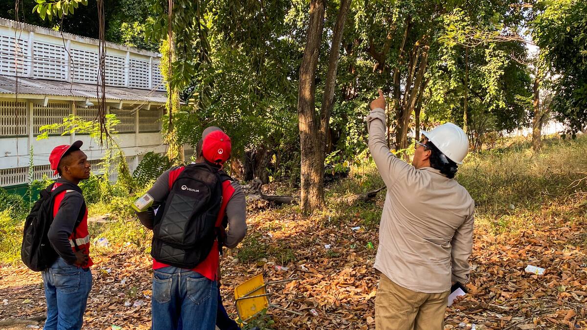 Inició intervención en árboles del INEM: 106 plantaciones recibirán poda técnica